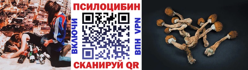 Псилоцибиновые грибы мухоморы  darknet как зайти  Сибай 