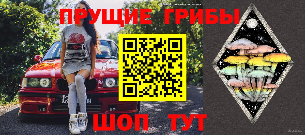 Сибай  Галлюциногенные грибы прущие грибы  цена наркотик  Вход с VPN 