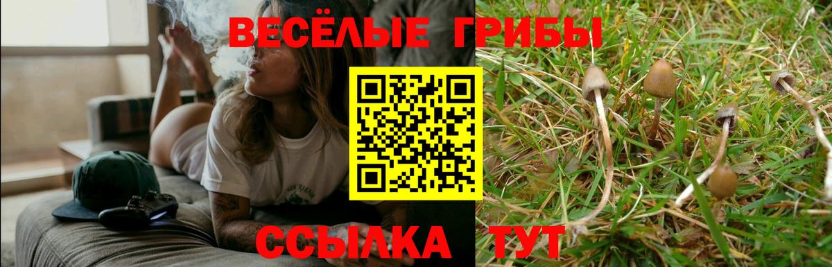 Псилоцибиновые грибы Psilocybine cubensis Сибай