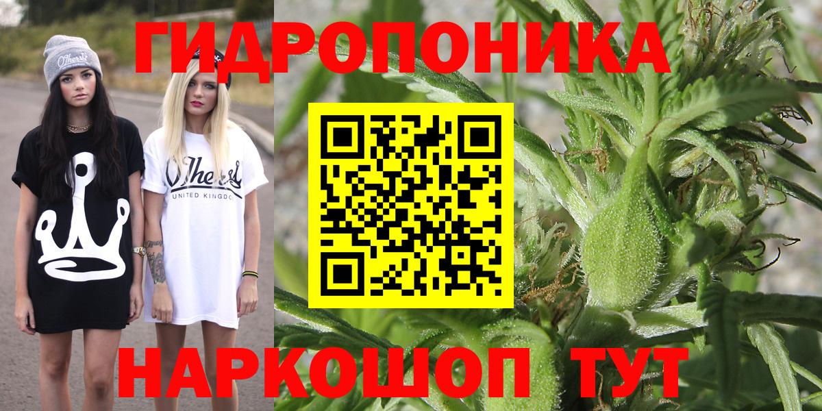 Канабис сатива Сибай